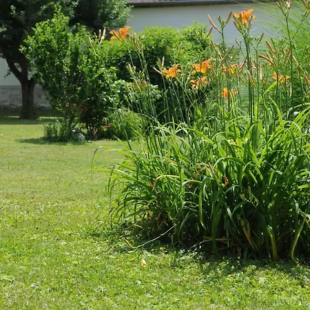 아파트 Alex Burgau