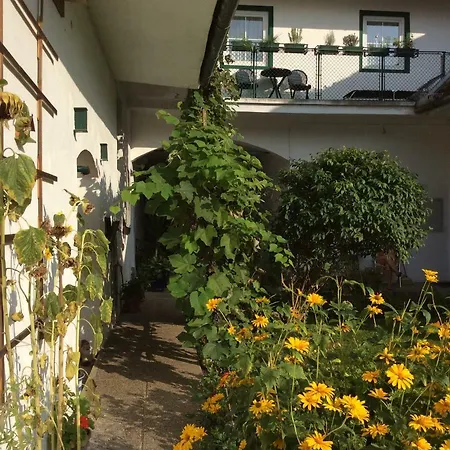 Alex Apartament *